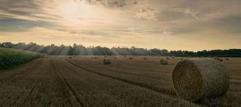 Bachelor Agrarwirtschaft Heuballen auf einem Feld in der Abenddämmerung.
