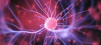 Mathematik und Naturwissenschaften Lust auf eine Karriere im MINT-Bereich? Wir stellen dir passende Studiengänge vor.