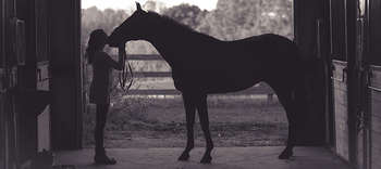 Bachelor Pferdemanagement Eine Frau steht ihrem Pferd im Stall gegenüber. Sie hält seinen Kopf und küsst seinen Nasenrücken. Das Bild ist in Graustufen gehalten und es sind beinahe nur die Konturen erkennbar.
