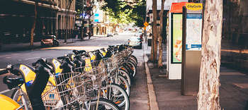 Bachelor Freizeitwissenschaften Foto vieler Fahrräder eines Fahrradverleihs auf einer sommerlich aussehenden Straße.