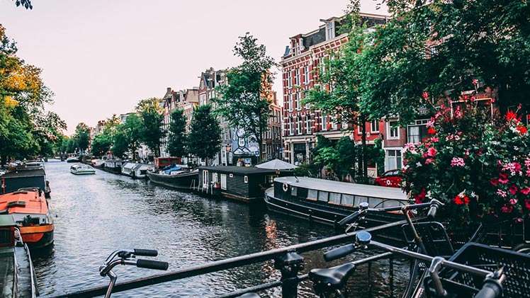 Die Top 10 Studentenstädte in den Niederlanden Malerischer Ausschnitt einer Gracht in Amsterdam. Rechts im Bild Blumen.