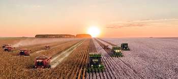 Bachelor-Studiengänge im Bereich Agrar- und Forstwissenschaften Ein Feld bei Abenddämmerung mit vielen Traktoren und Erntemaschinen.