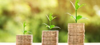 Bachelor Wirtschaftsrecht Drei Münzhaufen vor grünem bewachsenen Hintergrund. Die Münz-Stapel nehmen von links nach rechts in ihrer Höhe zu. Aus den Münzen wächst jeweils eine kleine Pflanze.