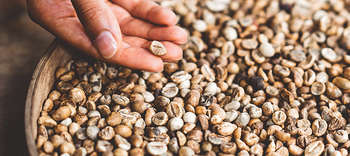 Lebensmittelwirtschaft Auf dem Bild sieht man eine Schüssel voller Körner und Flocken. Eine Hand bedient sich aus der Schüssel.