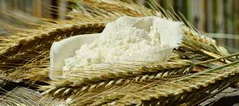 Bachelor Agrarbiologie Ein offener Mehlsack aus Stoff liegt auf einem Gesteck aus Weizenähren.