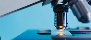 Bachelor Biologie Das Bild ziegt die Nahaufnahme eines Mikroskops. Im Fokus steht das Objektiv.