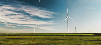 Bachelor Energietechnik Eine weite grüne Wiese unter blauem Himmel, auf der in weitem Abstand einige Windräder stehen.