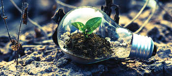 Bachelor Umwelttechnik Das Bild zeigt eine Nahaufnahme einer trockenen und steinigen Landschaft, auf der sich ein paar vertrocknete Pflanzen befinden. Inmitten dieser Landschaft liegt eine Glühbirne. Im Inneren dieser liegt ein Haufen fruchtbare Erde, aus der eine kleine grüne Pflanze wächst.