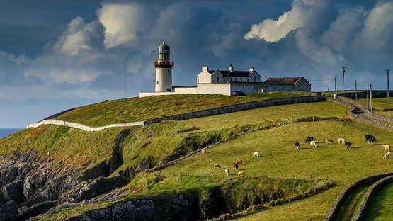 Ein grün bewachsener Berg in Irland. Auf diesem grasen Kühe. Oben auf dem Hügel eine Hofanalage.