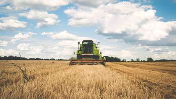Landwirtschafts-, Natur- und Umweltausbildungen Liebst du Natur und Umwelt, so schau dir mal diese Ausbildungen an.