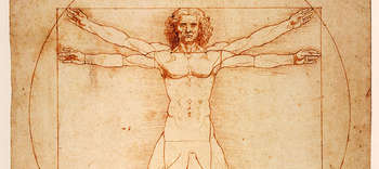 Anthropologie Das Bild zeigt einen Ausschnitt des vitruvianischen Menschen. Erkenntbar sind Kopf und Oberkörper bis zu den Oberschenkeln.