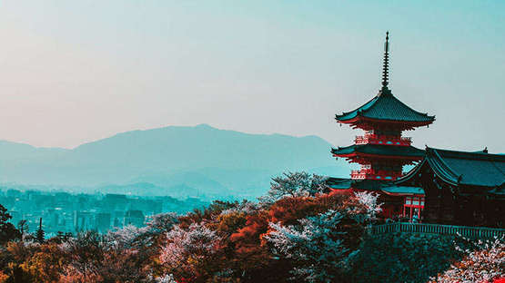 Aufnahme einer Landschaft mit Kirschblüten und einem Haus in japanischem Stil auf einem Berg.