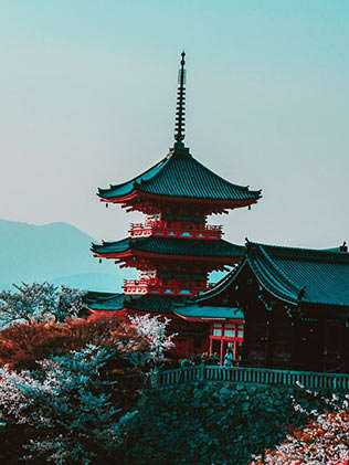 Aufnahme einer Landschaft mit Kirschblüten und einem Haus in japanischem Stil auf einem Berg.