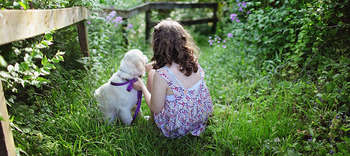 Bachelor Heilpädagogik Ein Mädchen in einem Kleid hockt neben ihrem kleinen Hund. Es ist die Rückenansicht beider zu sehen und sie befinden sich in einem verwachsenen Garten mit Blumen.