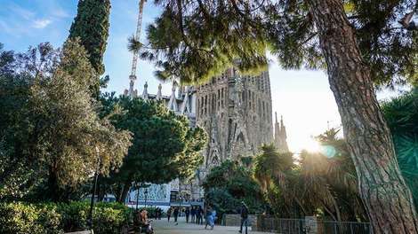 Kulisse aus Palmen und Pinienbäumen in Spanien. Dazwischen lässt sich eine Kathedrale erahnen. 