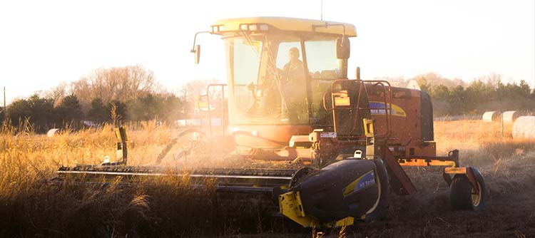 Bachelor Agrartechnik Eine Erntemaschine erntet ein Feld in der Abenddämmerung.