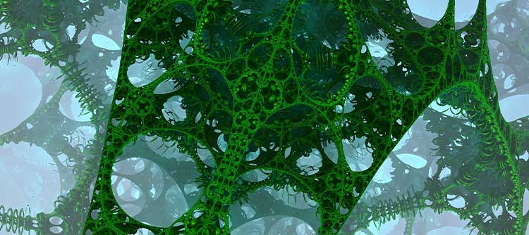 Bioinformatik Eine Mikroskopaufnahme der Struktur von einer grünen Pflanze.