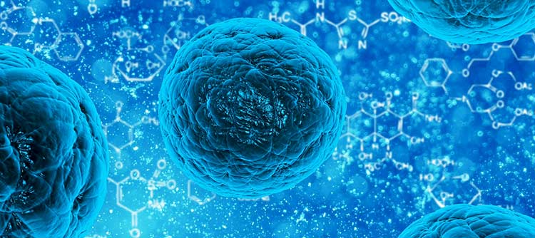 Bachelor Biochemie Auf dem Bild erkennbar sind chemische Bestandteile unter einem Mikroskop. Im Hintergrund sind verschiedene kleine Strukturformeln dargestellt. Das gesamte Bild ist blau gehalten.