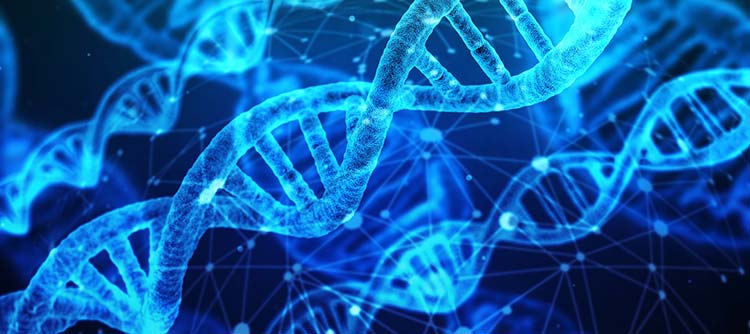 Bachelor Biotechnologie Eine Darstellung mehrere DNA-Stränge. Diese werden in leuchtendem blauen Licht angestrahlt.