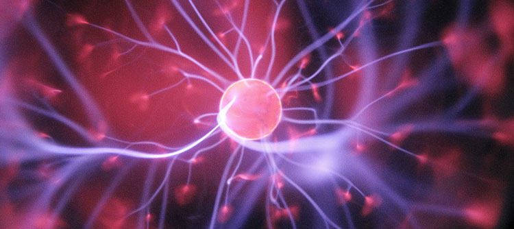 Bachelor-Studiengänge im Bereich Mathematik und Naturwissenschaften. Das Bild zeigt einen pinken Plasmaball, der von zahlreichen violetten Verknüpfungen umgeben ist.