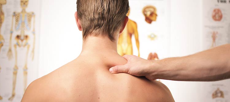 Bachelor Ergotherapie Ausschnitt des Rücken eines Mannes. Eine Hand massiert seine Schulter. Vor dem Mann hängen Poster mit anatomischen Darstellungen.