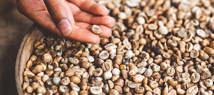 Lebensmittelwirtschaft Auf dem Bild sieht man eine Schüssel voller Körner und Flocken. Eine Hand bedient sich aus der Schüssel.