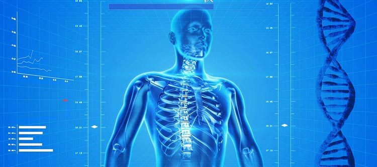 Bachelor Medizintechnik Schematische Darstellung einer Person und ihres Knochenbaus. Recht und links davon verschiedene Grafiken und Skalen sowie ein DNA-Strang.