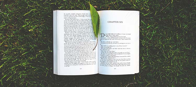 Sprach- und Literaturwissenschaften Ausschnitt eines aufgeschlagenen Buches mit dem Blatt eines Laubbaums als Lesezeichen in der Mitte.