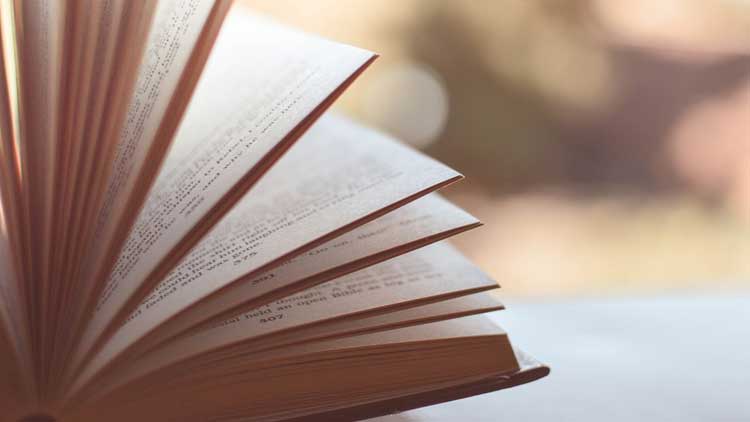 Unser Lesetipp. Bookpages.